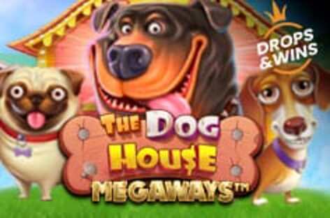 Уникальный игровой автомат на Казино Jozz ➥ The Dog House